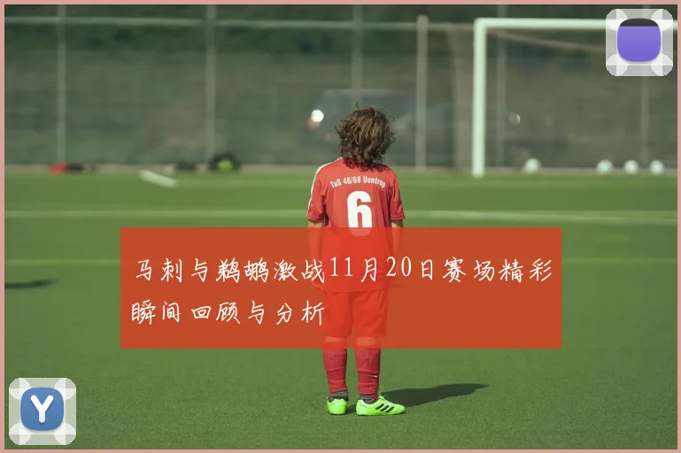 马刺与鹈鹕激战11月20日赛场精彩瞬间回顾与分析