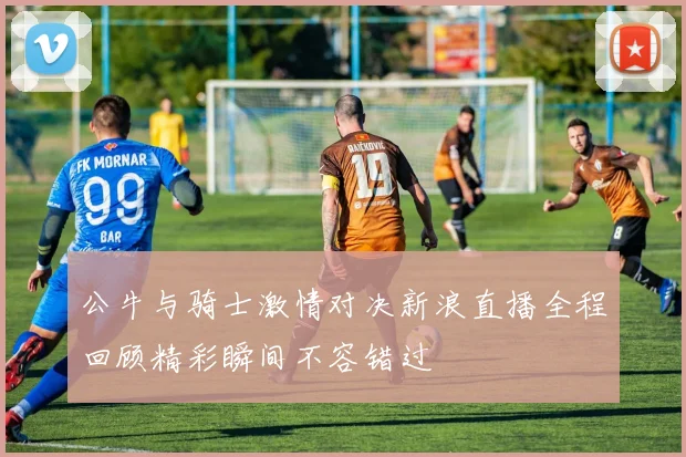 公牛与骑士激情对决新浪直播全程回顾精彩瞬间不容错过