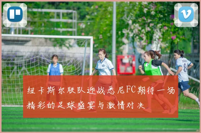 纽卡斯尔联队迎战悉尼FC期待一场精彩的足球盛宴与激情对决