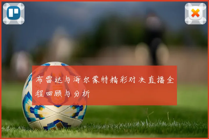 布雷达与海尔蒙特精彩对决直播全程回顾与分析