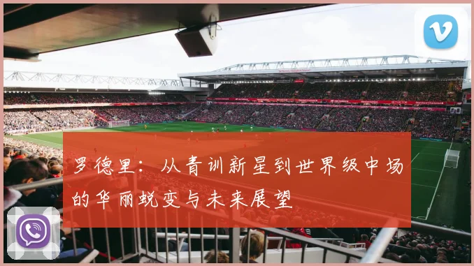 罗德里：从青训新星到世界级中场的华丽蜕变与未来展望