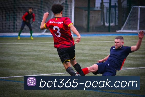 bet365体育发展历程